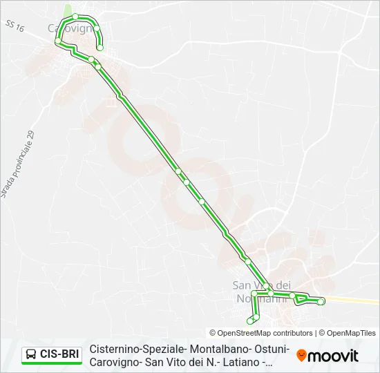 CIS-BRI Bus Line Map