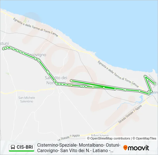 CIS-BRI Bus Line Map