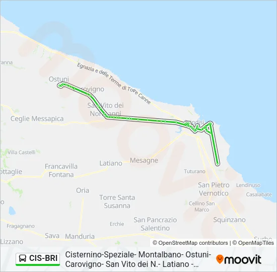 CIS-BRI Bus Line Map