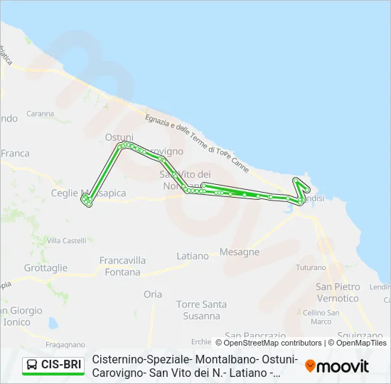 CIS-BRI Bus Line Map
