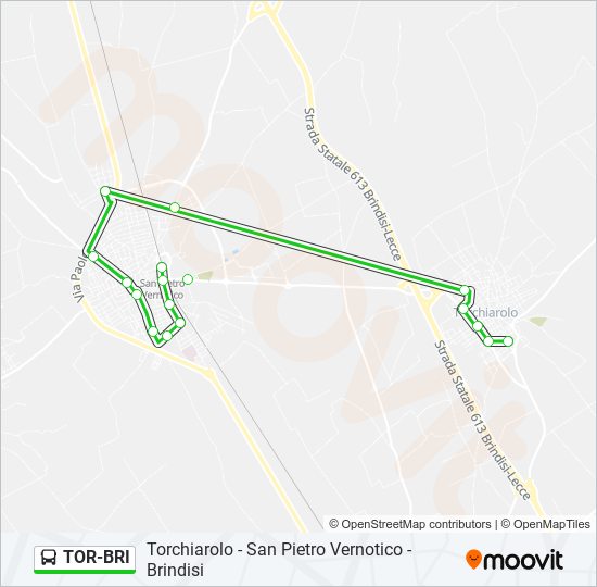 TOR-BRI bus Line Map