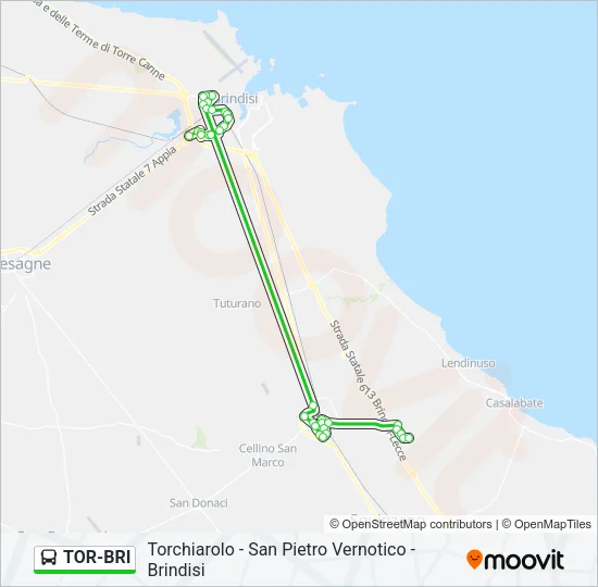 TOR-BRI Bus Line Map