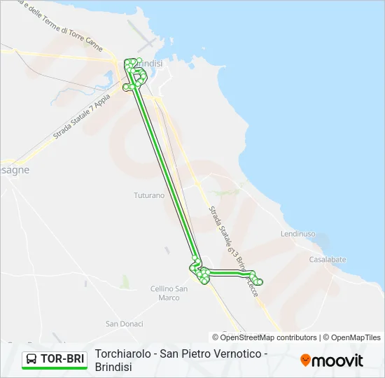 TOR-BRI Bus Line Map