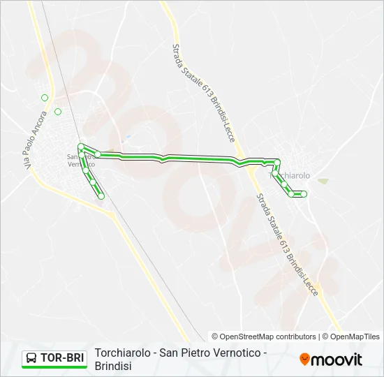 Percorso linea bus TOR-BRI