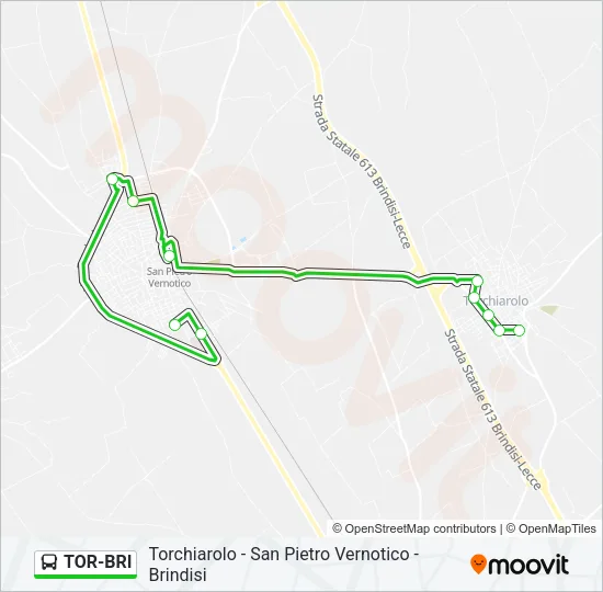TOR-BRI Bus Line Map