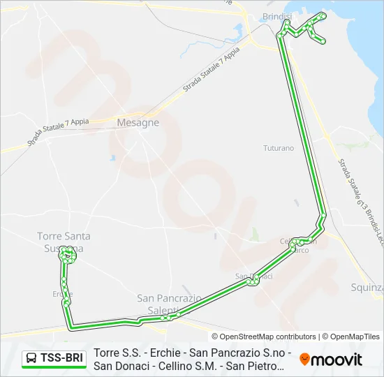 TSS-BRI Bus Line Map