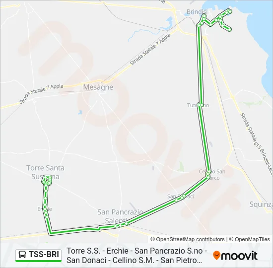 TSS-BRI Bus Line Map