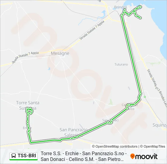 TSS-BRI Bus Line Map