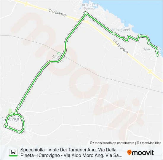 CA-SZ-SS Bus Line Map