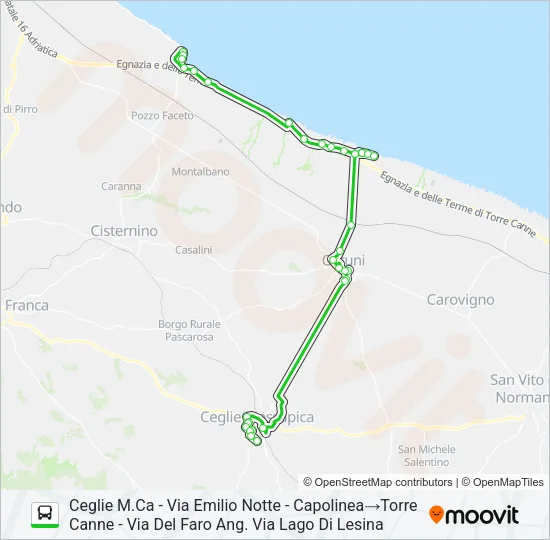 E/TCANNE Bus Line Map