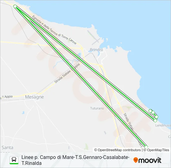 E/TRINAL Bus Line Map