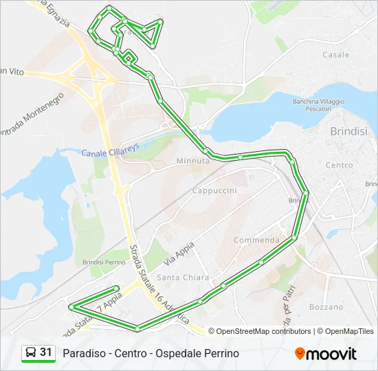 31 Bus Line Map