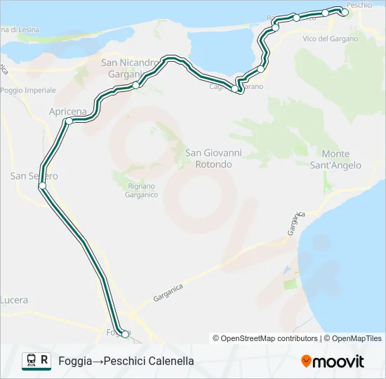 R Train Line Map