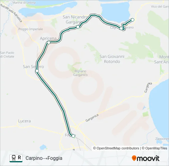 R Train Line Map