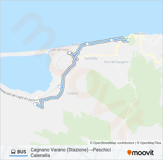 BUS Line Map