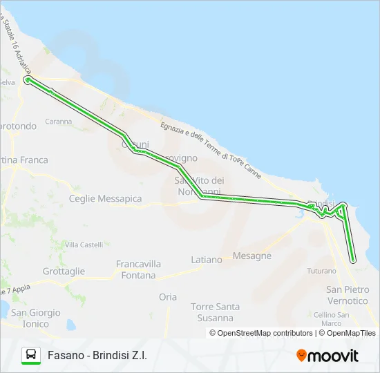 FAS-BRZI Bus Line Map
