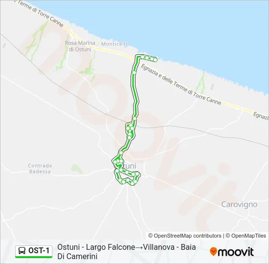 OST-1 Bus Line Map