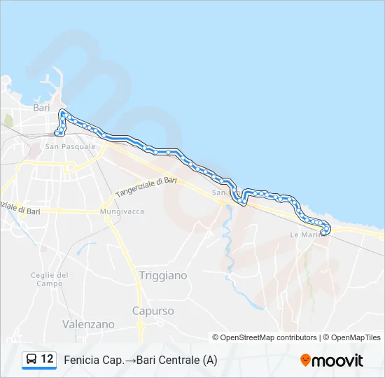 12 Bus Line Map