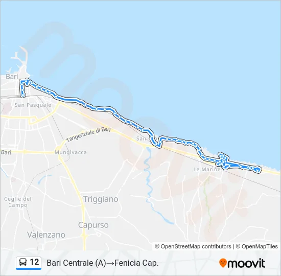 12 Bus Line Map