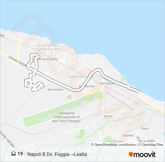 19 Bus Line Map