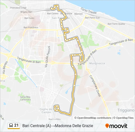 21 Bus Line Map