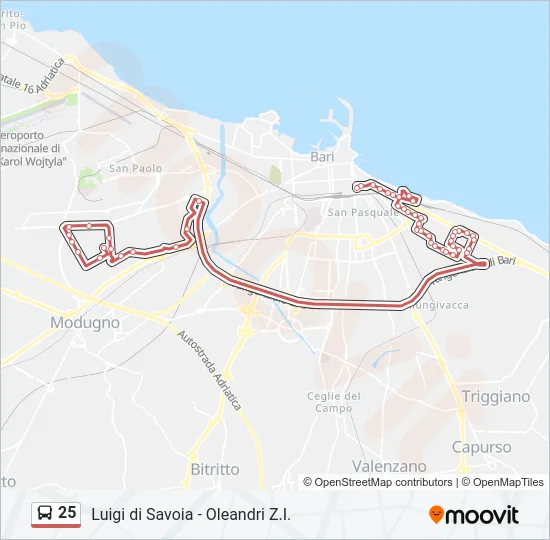25 Bus Line Map