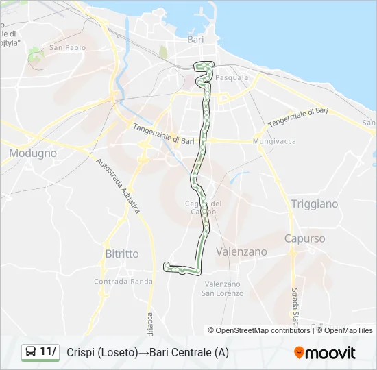 11/ Bus Line Map