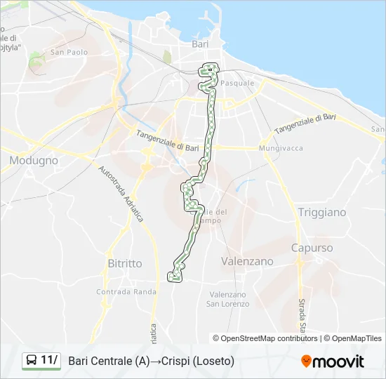 11/ Bus Line Map