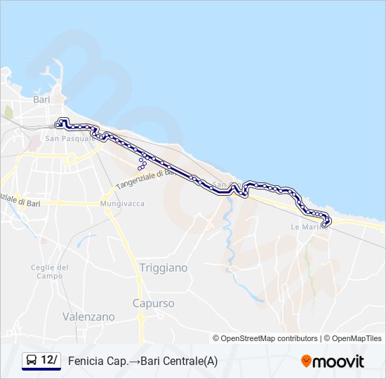 12/ bus Line Map