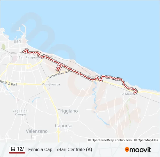 12/ Bus Line Map