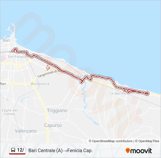 12/ Bus Line Map