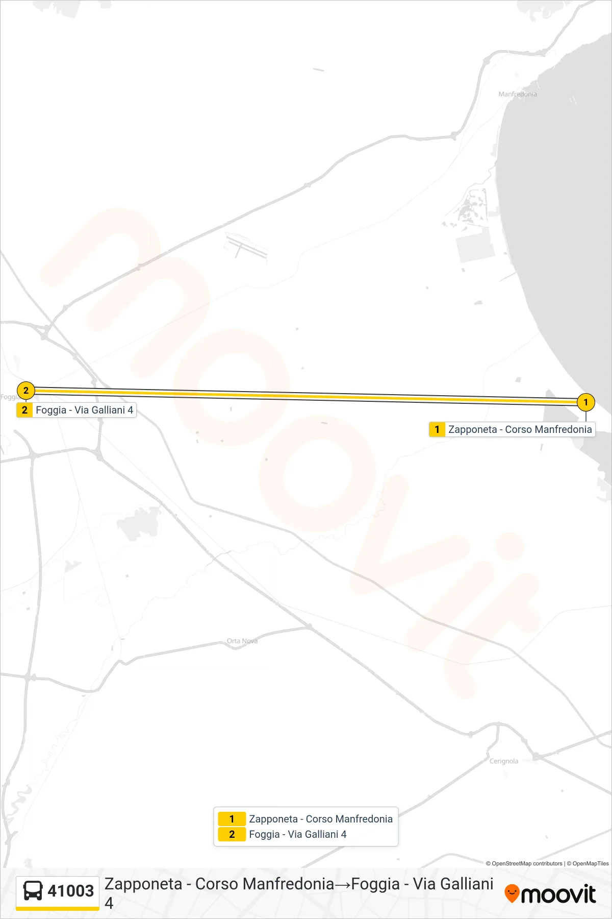 Linea 41003 bus (Zapponeta - Corso Manfredonia→Foggia - Via Galliani 4) - Percorsi e fermate sulla mappa