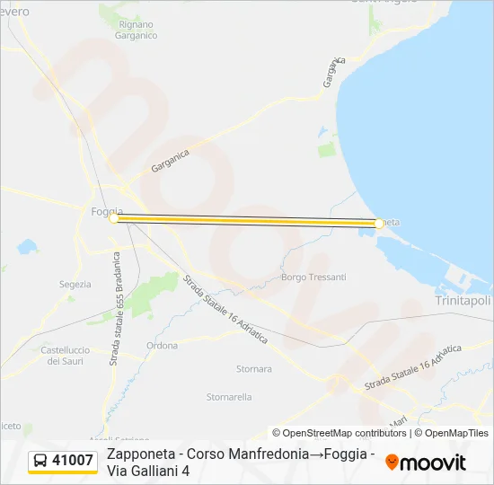 Percorso linea bus 41007