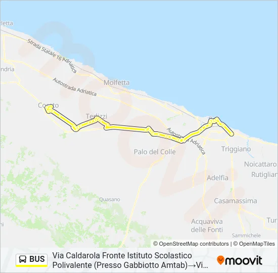 BUS Line Map