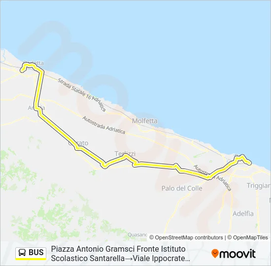 BUS Line Map