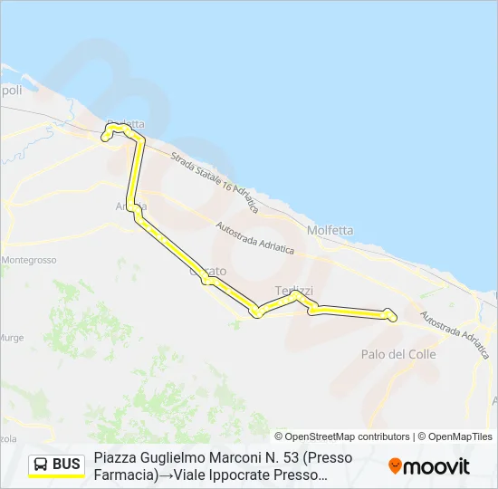 BUS Line Map