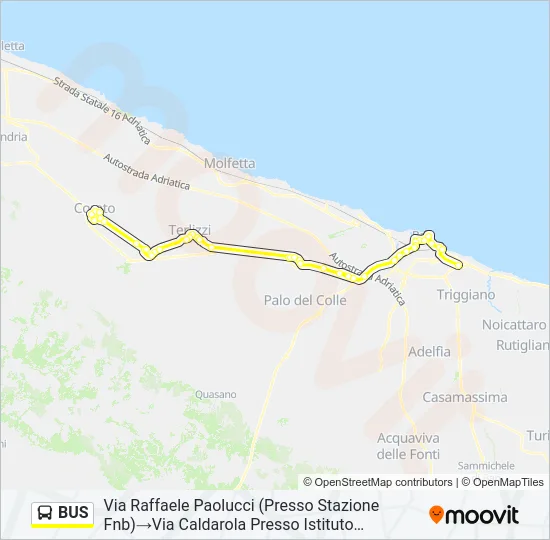 BUS Line Map
