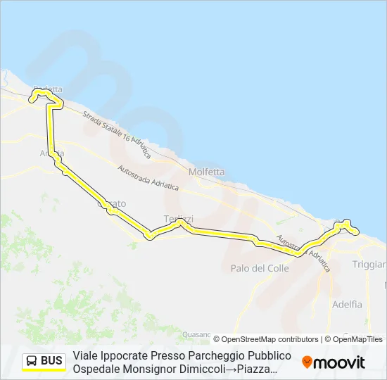 BUS Line Map