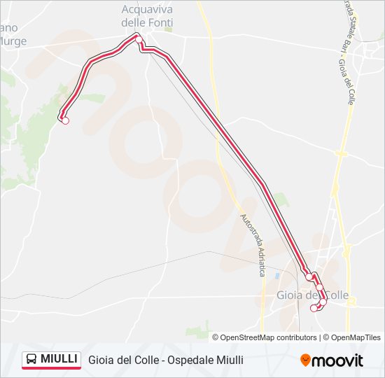 MIULLI bus Line Map