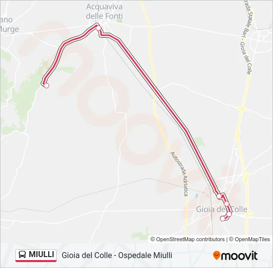 MIULLI Bus Line Map
