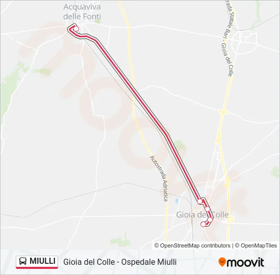 MIULLI Bus Line Map