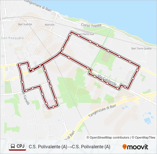 CPJ Bus Line Map