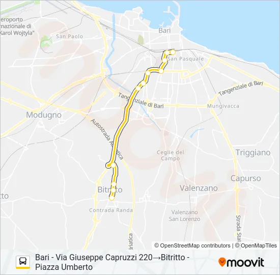 706R.20BIS.03 Bus Line Map