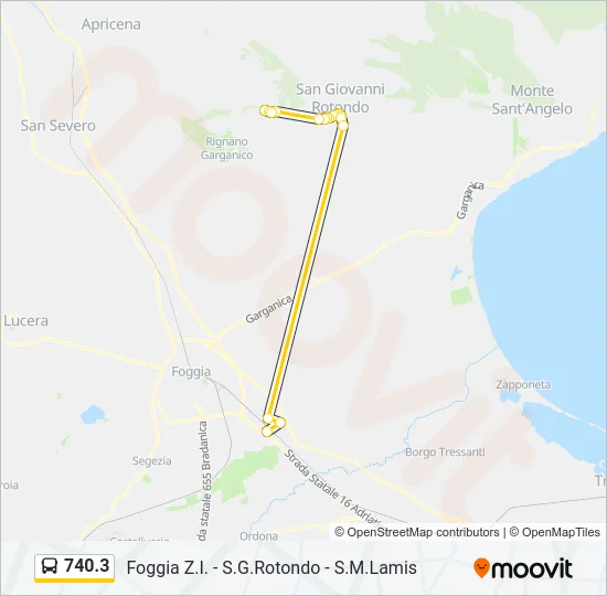 740.3 Bus Line Map
