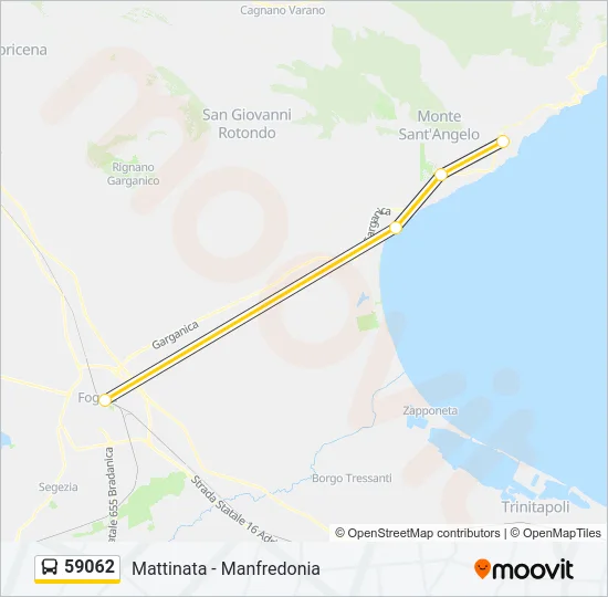 59062 Bus Line Map