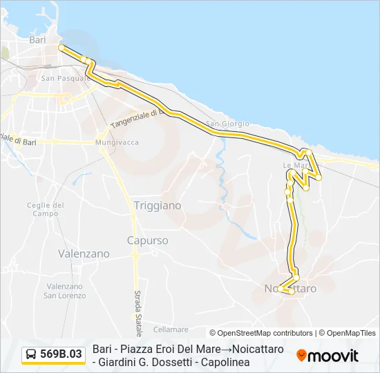 569B.03 Bus Line Map