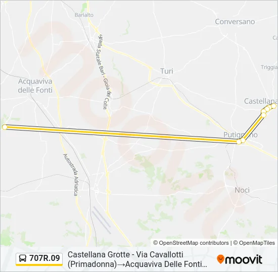 707R.09 Bus Line Map