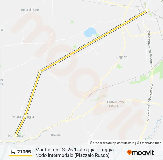 21055 Bus Line Map