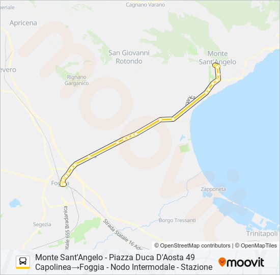 741R.DIRETTA bus Line Map