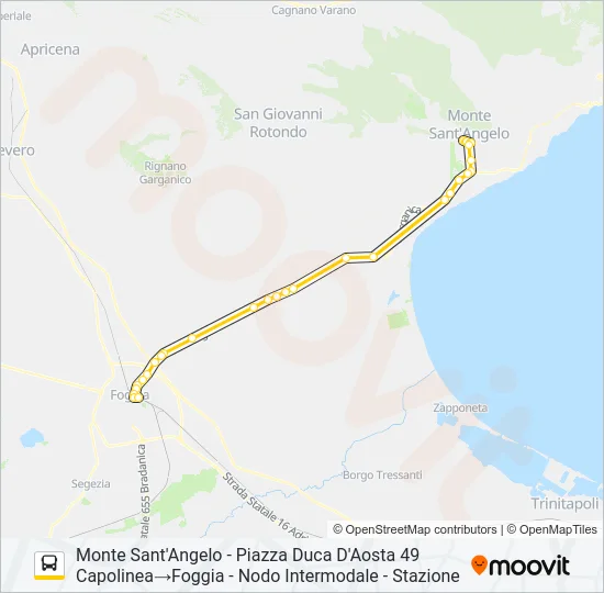 741R.DIRETTA Bus Line Map